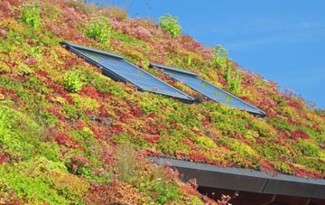 Blounts Green living roof systems